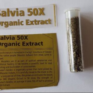 Where to buy Salvia Divinorum Online, Where to buy Salvia Online, Where to Order Salvia Online, Where to buy Salvia, Where to Purchase Salvia Online, Salvia