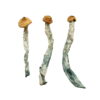 Creeper Magic Mushrooms - Image 2