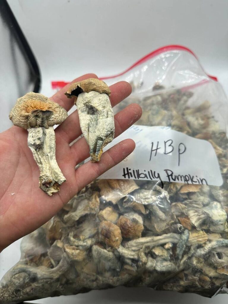 mushrooms for sale near me, where to buy mushrooms near me, local mushroom vendors, mushroom farm near me, fresh mushrooms near me