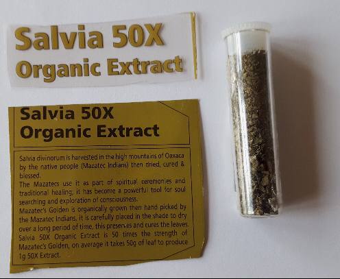 Where to buy Salvia Divinorum Online, Where to buy Salvia Online, Where to Order Salvia Online, Where to buy Salvia, Where to Purchase Salvia Online, Salvia